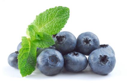 It's Blueberry Season!!