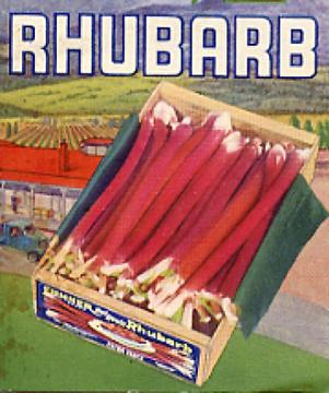 It's Fresh Rhubarb Season!