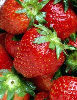 Michigan Strawberries!