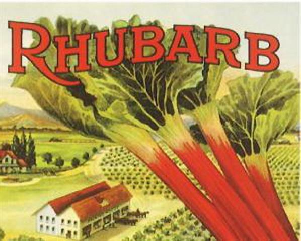 Rhubarb Season is Here!