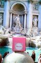 In Rome - "Three coins in the fountain"... the Trevi Fountain (and of course one of our pink pie boxes)