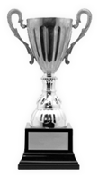 Awards Icon