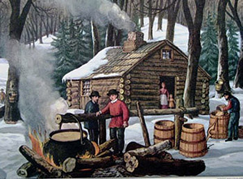 Michigan Maple Syrup Season