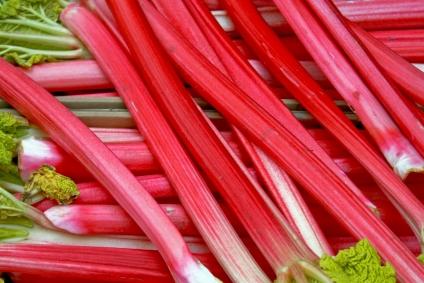It's Rhubarb Season at the Shop